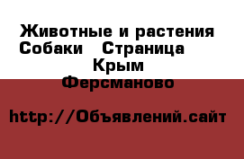 Животные и растения Собаки - Страница 10 . Крым,Ферсманово